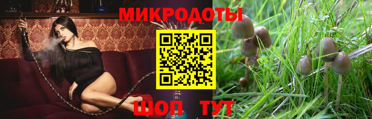 Галлюциногенные грибы мицелий  Вход с VPN  Луховицы 